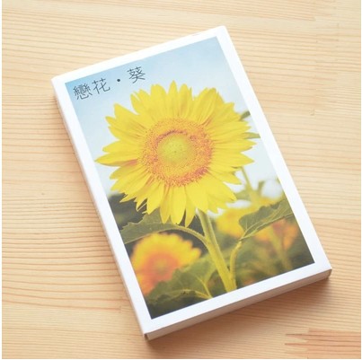 MA14     عٶ ׸   = 1lot ڽ/MA14 green paperback edition Love Flower  sunflower theme boxed into a postcard 30pcs=1lot